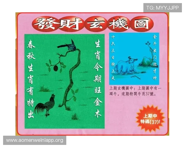 澳门彩滚球盘玩法介绍及常见问题解答，为新手提供详细指导
